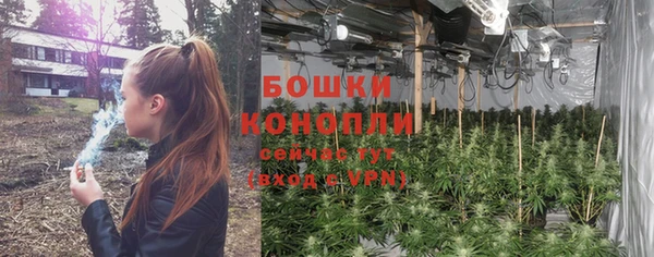 марки lsd Белокуриха