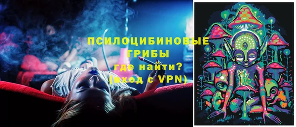 марки lsd Белокуриха