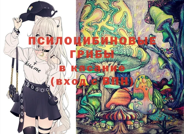 марки lsd Белокуриха