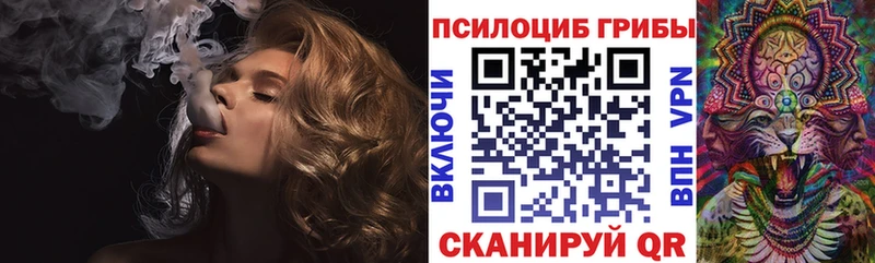 Псилоцибиновые грибы мицелий  Волчанск 